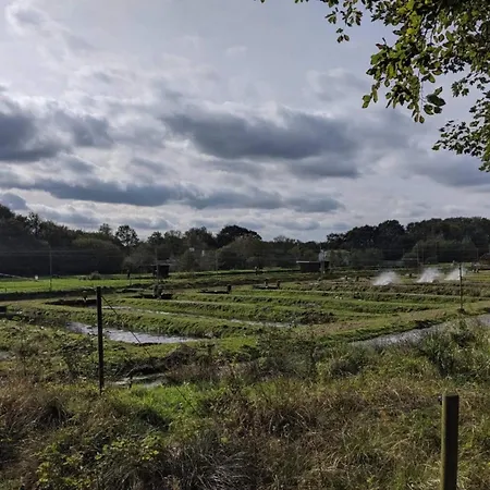 Дом отдыха 4 Person In Hovborg-by Traum