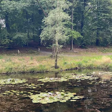 Дом отдыха 4 Person In Hovborg-by Traum *