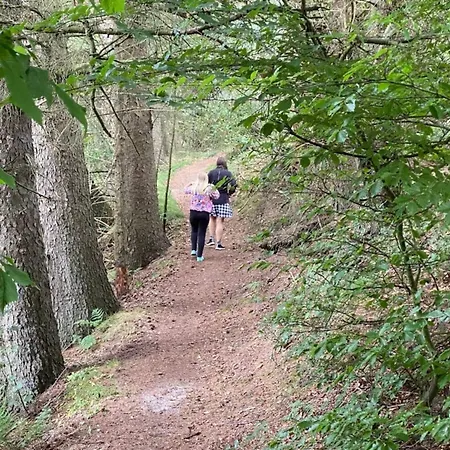 Дом отдыха 4 Person In Hovborg-by Traum Ховборг