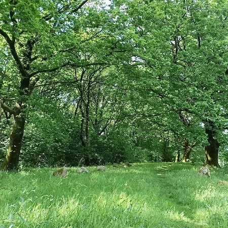 4 Person In Hovborg-by Traum Дом отдыха